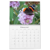 De schoonheid van de Kalender van Butterflies (Feb 2027)