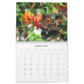 De schoonheid van de Kalender van Butterflies (Jan 2026)