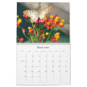 De schoonheid van de Kalender van Butterflies (Mar 2026)