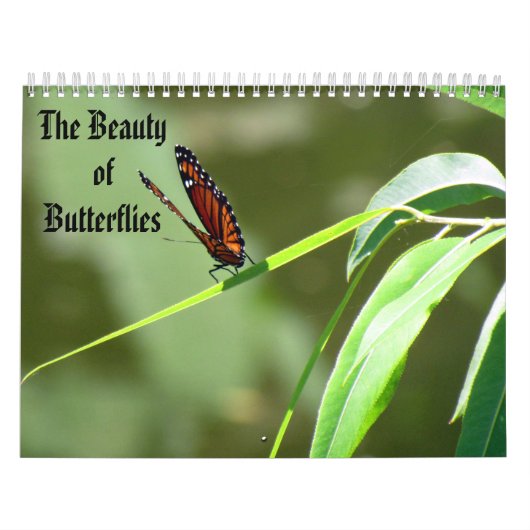 De schoonheid van de Kalender van Butterflies (Hoes)