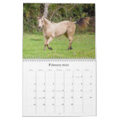 De schoonheid van de Kalender van Horses (Feb 2024)