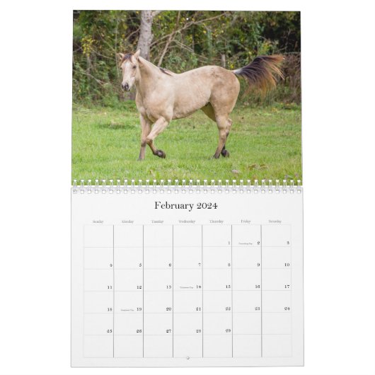 De schoonheid van de Kalender van Horses (Feb 2024)