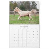 De schoonheid van de Kalender van Horses (Jan 2026)
