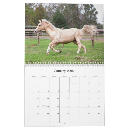 De schoonheid van de Kalender van Horses (Jan 2026)