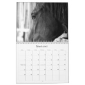 De schoonheid van de Kalender van Horses (Mar 2027)