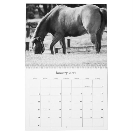 De schoonheid van de Kalender van Horses (Jan 2027)