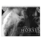 De schoonheid van de Kalender van Horses (Hoes)