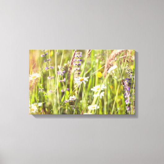 De schoonheid van de landelijke wilde bloemen canvas afdruk (Voorkant)