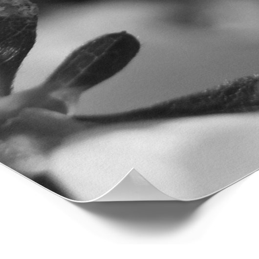 De schoonheid van de lente III Poster (Hoek)