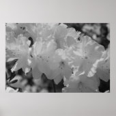 De schoonheid van de lente III Poster (Voorkant)