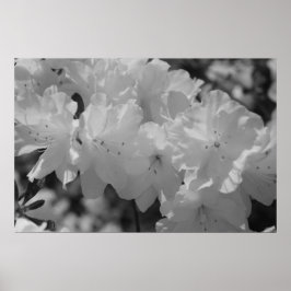 De schoonheid van de lente III Poster