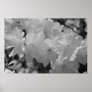 De schoonheid van de lente III Poster