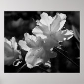 De schoonheid van de Lente Poster (Voorkant)