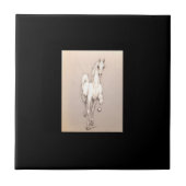 De schoonheid van de macht. . . tegeltje (Voorkant)