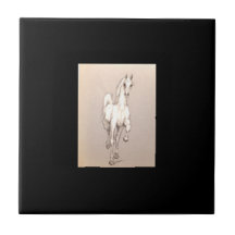 De schoonheid van de macht. . .