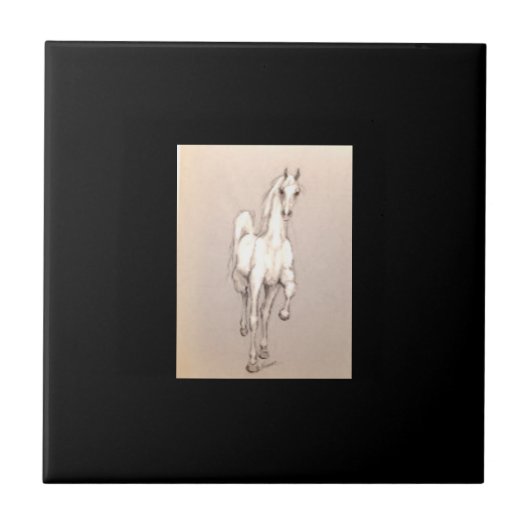 De schoonheid van de macht. . . tegeltje (Voorkant)