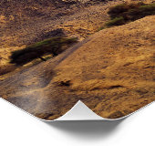 De schoonheid van de natuur onder een blauw perfect poster (Hoek)