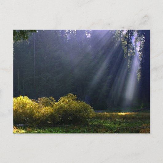 De schoonheid van de Natuur van Moeder Briefkaart (Voorkant)