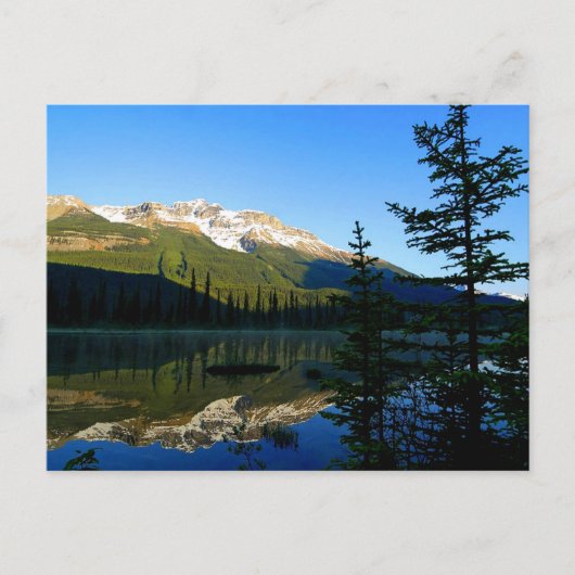 De schoonheid van de Natuur van Moeder Briefkaart (Voorkant)