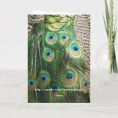 De Schoonheid van de pauw - het Wenskaart van de Kaart (Achterkant)