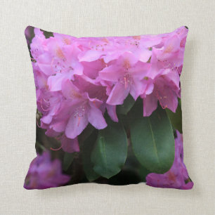 De Schoonheid van de rododendron Kussen