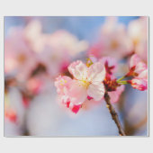 De schoonheid van de roze Sakura-bloemen Cadeaupapier (Vlak)