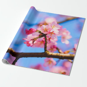 De schoonheid van de Sakura-bloemen in het voorjaa Cadeaupapier