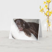 De Schoonheid van de slaap Kaart (Gele Bloem)