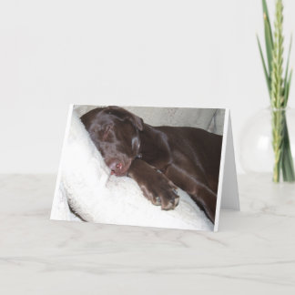 De Schoonheid van de slaap Kaart