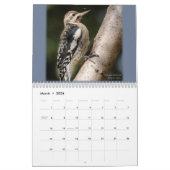 De schoonheid van de vogelkalender kalender (Mar 2026)