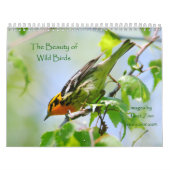 De schoonheid van de vogelkalender kalender (Hoes)