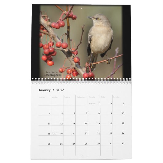 De schoonheid van de vogelkalender kalender (Jan 2026)