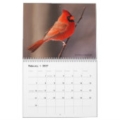 De schoonheid van de vogelkalender kalender (Feb 2027)