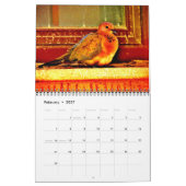 De schoonheid van Doves Kalender (Feb 2027)