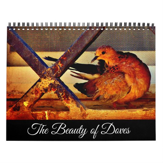 De schoonheid van Doves Kalender (Hoes)