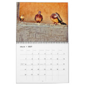 De schoonheid van Doves Kalender (Mar 2027)