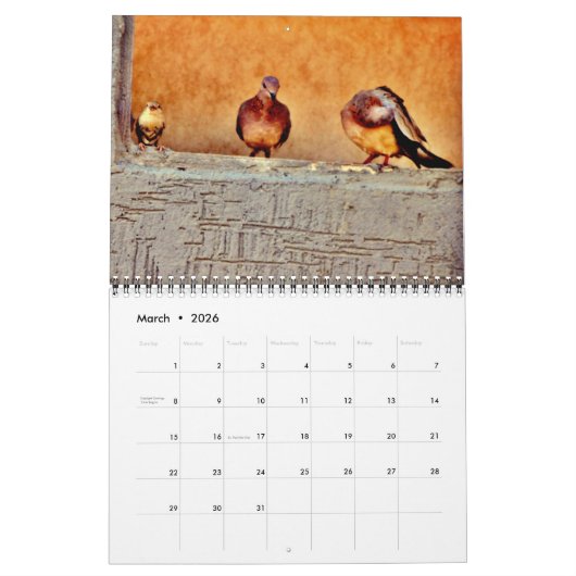 De schoonheid van Doves Kalender (Mar 2026)