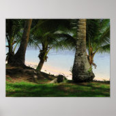 De schoonheid van Guam Poster (Voorkant)