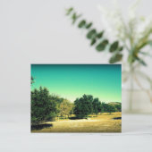 De schoonheid van het Briefkaart Bandera Texas #2 (Staand voorkant)