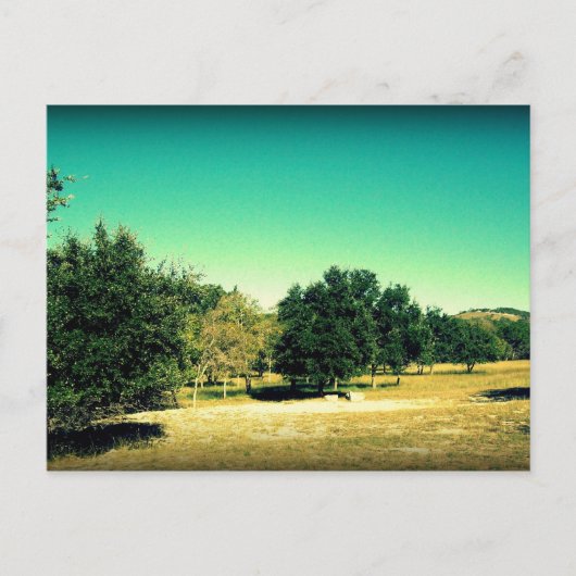 De schoonheid van het Briefkaart Bandera Texas #2 (Voorkant)