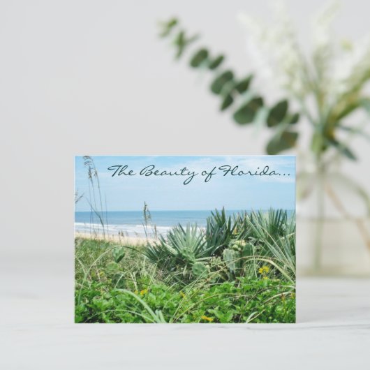 De schoonheid van het Briefkaart van Florida/het B (Staand voorkant)