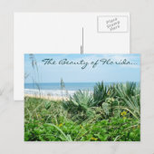 De schoonheid van het Briefkaart van Florida/het B (Voorkant / Achterkant)