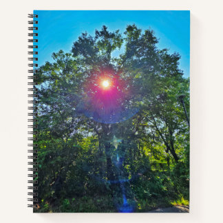 De schoonheid van het door Sun College geregeerde  Notitieboek