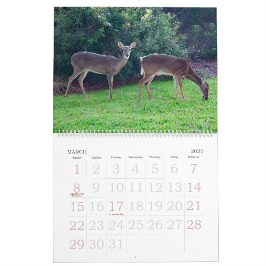 De schoonheid van Hilton Head Island Calendar Kalender (Mar 2026)