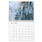 De schoonheid van macrofotografie kalender (Jan 2027)