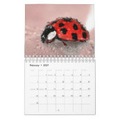 De schoonheid van macrofotografie kalender (Feb 2027)