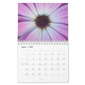 De schoonheid van macrofotografie kalender (Mar 2027)