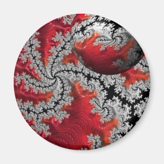 De schoonheid van Mandelbrots Magnet (Voorkant)