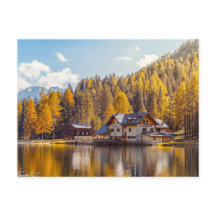 DE SCHOONHEID VAN NATUUR IN HET MEER