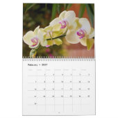 De schoonheid van Orchideeën Kalender (Feb 2027)